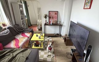 Studio I Parc Cismigiu I 40 mp I Vedere panoramica - Poză 1
