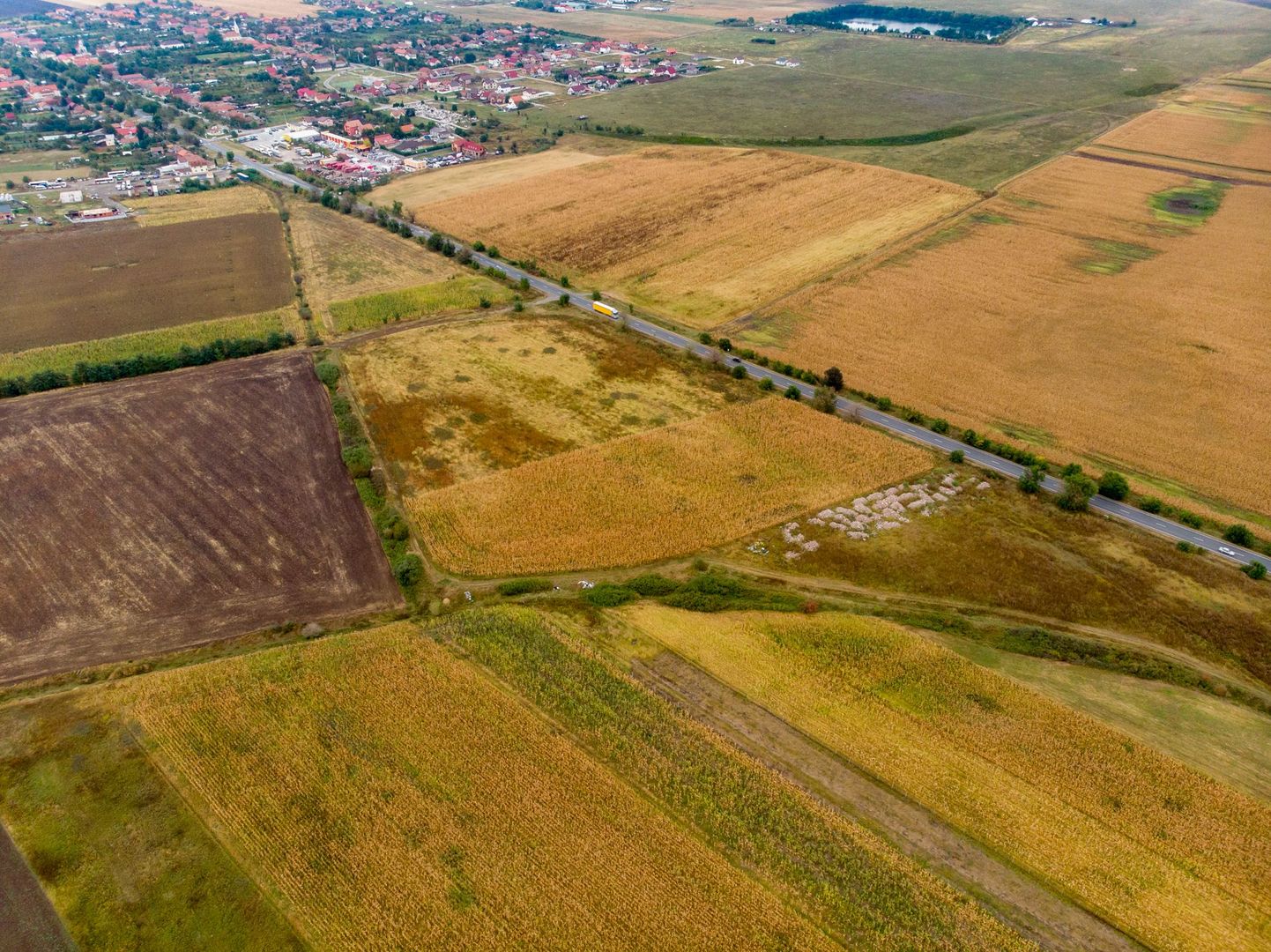 Teren de 19798mp în Zimandu Nou - Poză 12