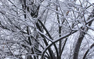 Teren de vanzare I izvor apă minerală  Dangești I 2 Hectare - Poză 30