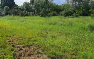 Teren intravilan, Isalnita - Poză 1