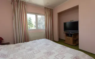 Oportunitate Rară – Vilă pe Malul Lacului Snagov | Piscina | Ponton | COMISION 0 - Poză 37