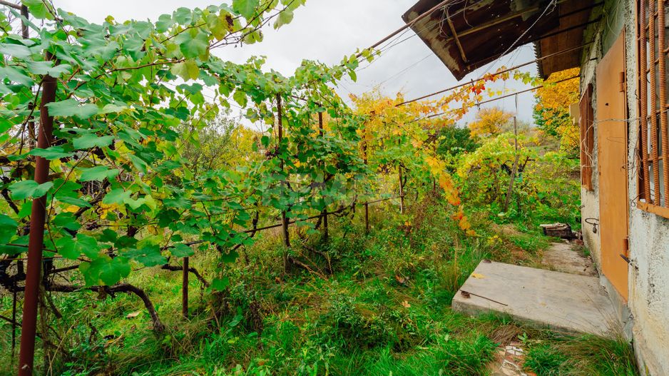 Lot pomicol de 6 ari în Ialoveni, cu construcție auxiliară. - Poză 15