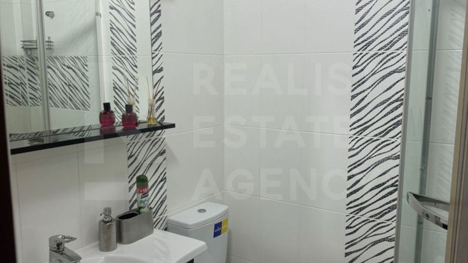 Chirie, apartament, 1 cameră, str. Nicolae Testemițanu, Centru - Poză 8