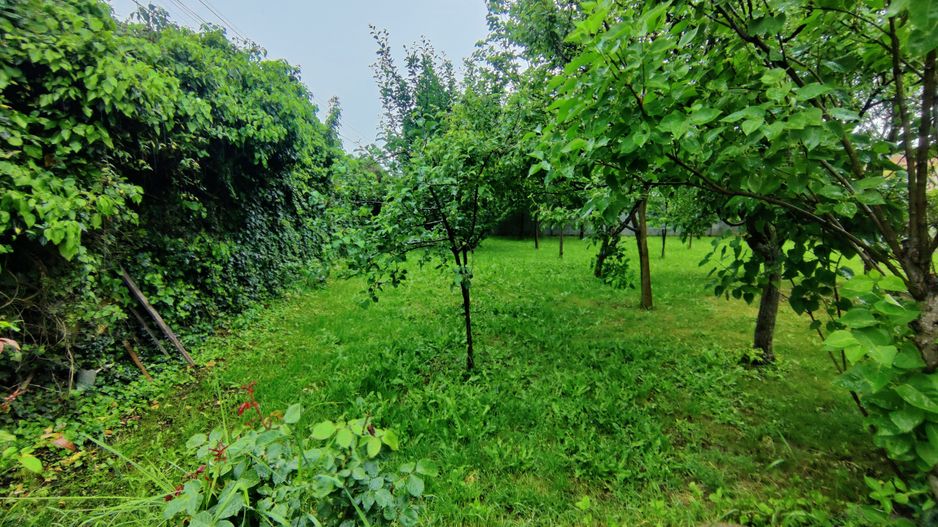 CASA INDIVIDUALA GHIRODA +TEREN 1752 MP - Poză 40