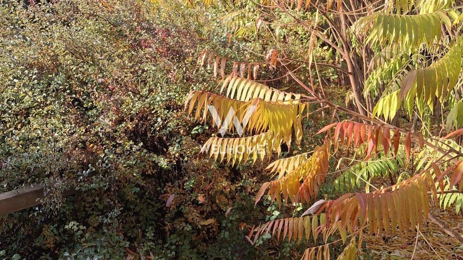 Casa cu 15 camere de vanzare in Bazna, Sibiu ( azil, pensiune) - Poză 42