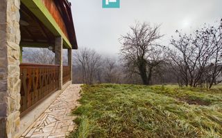 Casă de vacanță în Moneasa - Poză 19