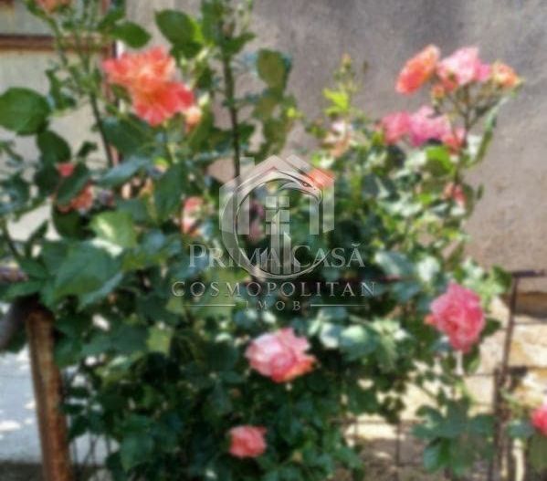 Casa zona Dorobanti teren 500mp toate utilitatile 58.000 euro - Poză 8