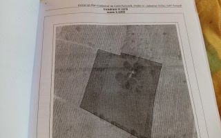 Teren de vânzare în Tomești, județul Iași - Poză 3