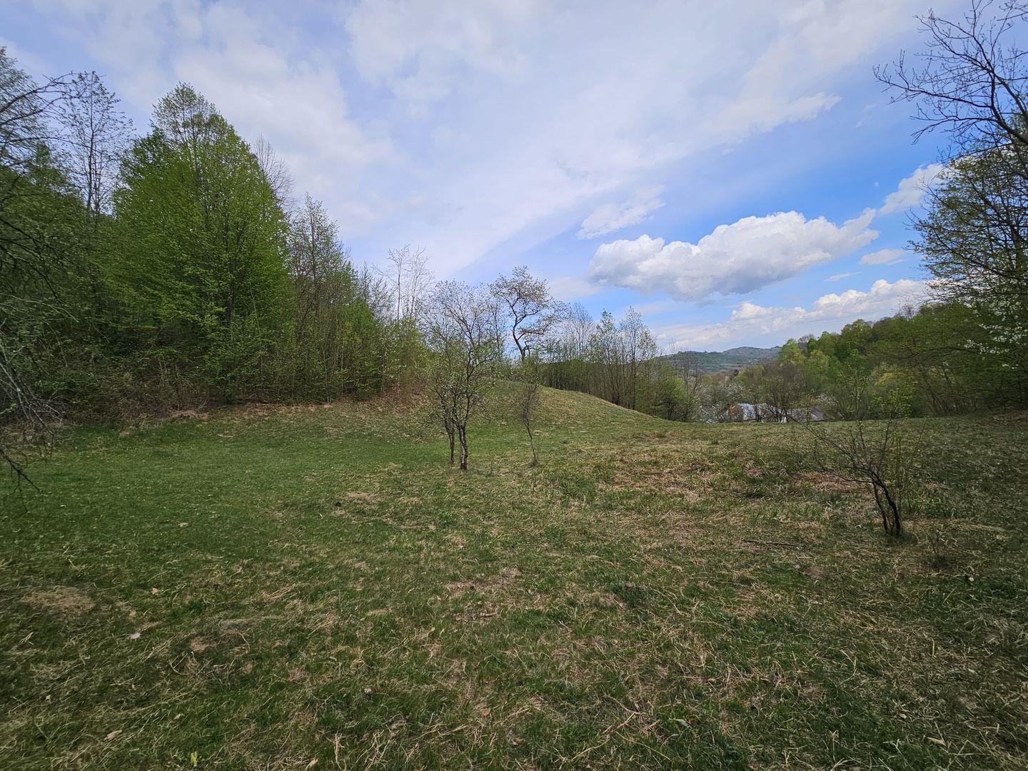 Teren intravilan 1454 mp la marginea padurii zona locuita de case! - Poză 3