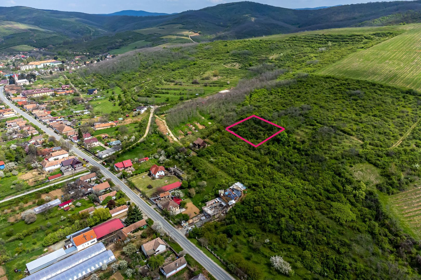 4.300 mp teren pe deal împădurit la Miniș - Poză 3