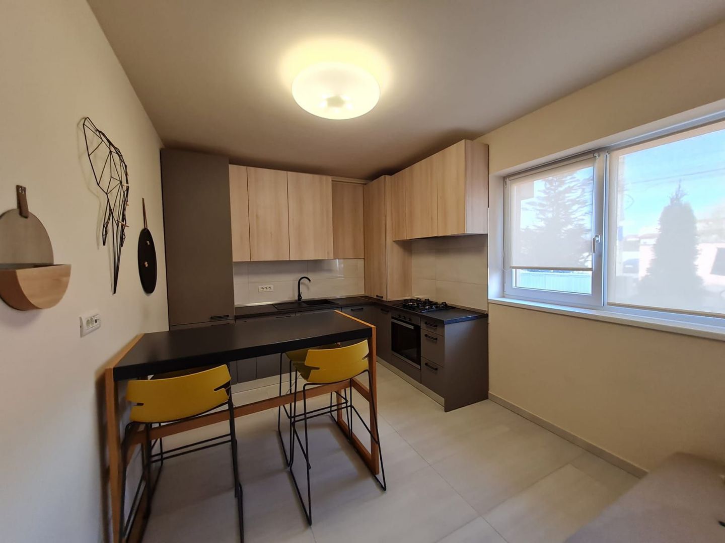 Apartament 1 camera cu grădina - Poză 18