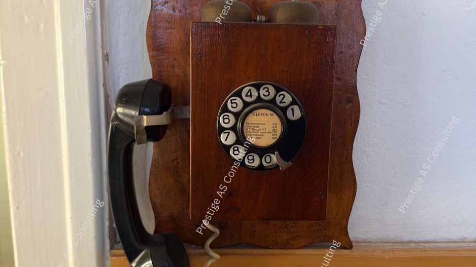 Casa individuala 2 apartamente | 310 mp utili |  clinica / birouri Elisabetin - Poză 13