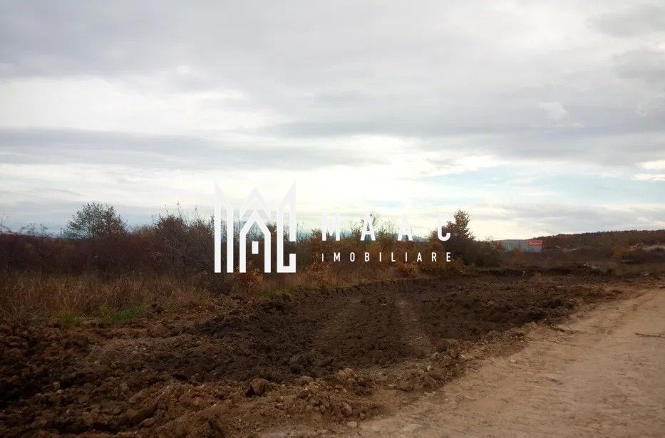 Teren Extravilan | 2475 mp | Selimbar - Poză 3