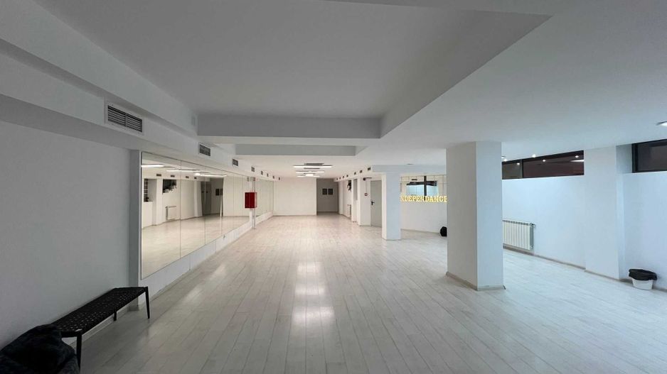 220 m2- studio dans de închiriat Sector 4, București - Poză 5