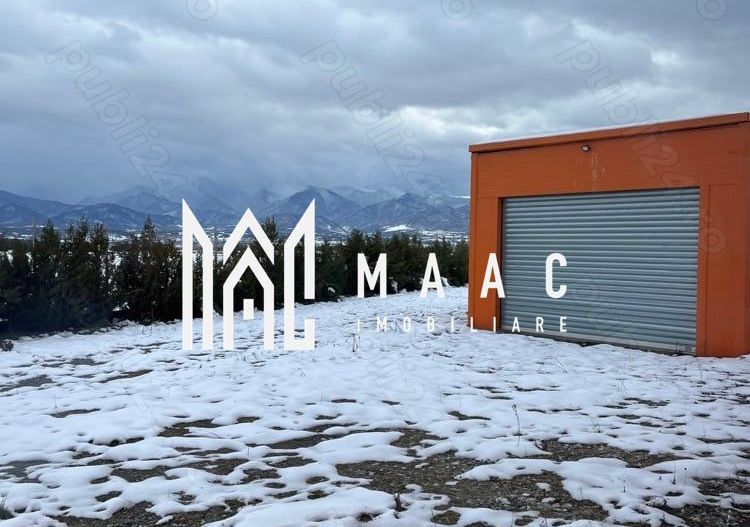 Hală industrială I Birouri I Parcare I TIR I 12000 mp I Bradu - Poză 4