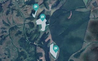 Pădure 50,7 ha în județul Arad - Poză 2