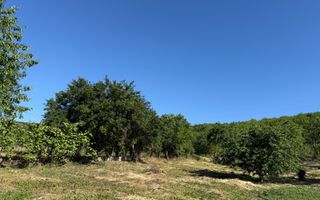 Casă de vânzare Cuzdrioara - Poză 16