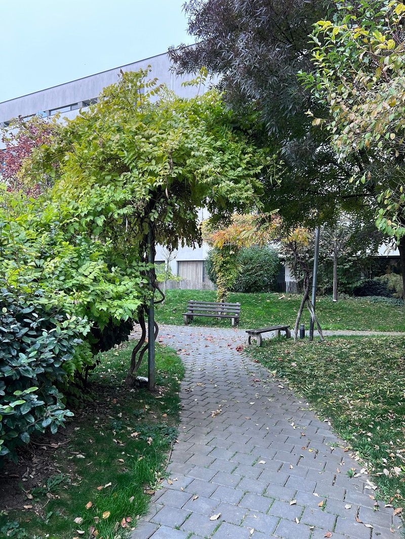 3 camere cu Gradina Proprie Sector 1 - Mall Colosseum - Poză 25