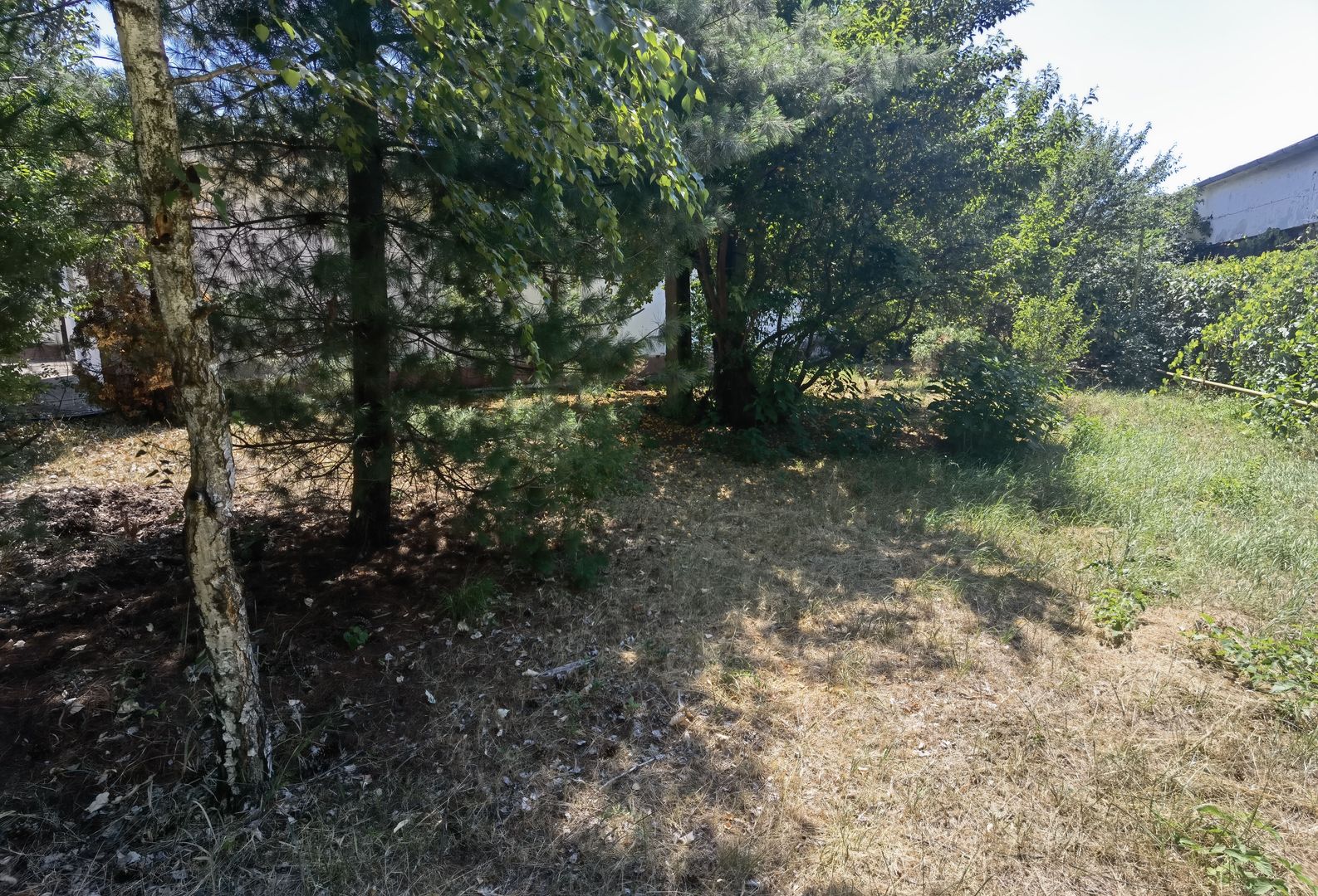 Spatiu industrial zona Sud-Arad - Poză 29