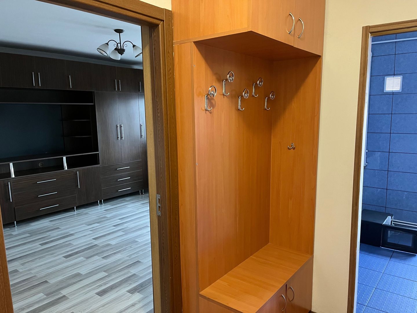 Apartament cu o camera - Poză 4