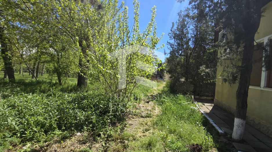 🏖 Teren de vanzare in Neptun – O oportunitate rara de investitie. - Poză 14