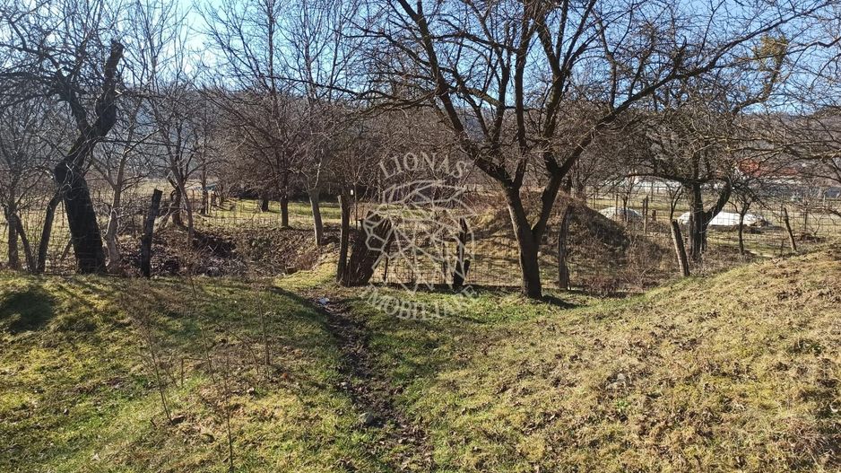 Casa 4 camere-teren 2410 mp-grajd-sura-fanar-magazie-Prundu Bargaului - Poză 1