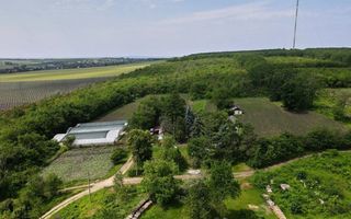 Vânzare, teren, 1.74 ha, satul Bilicenii Noi, raionul Sîngerei - Poză 3