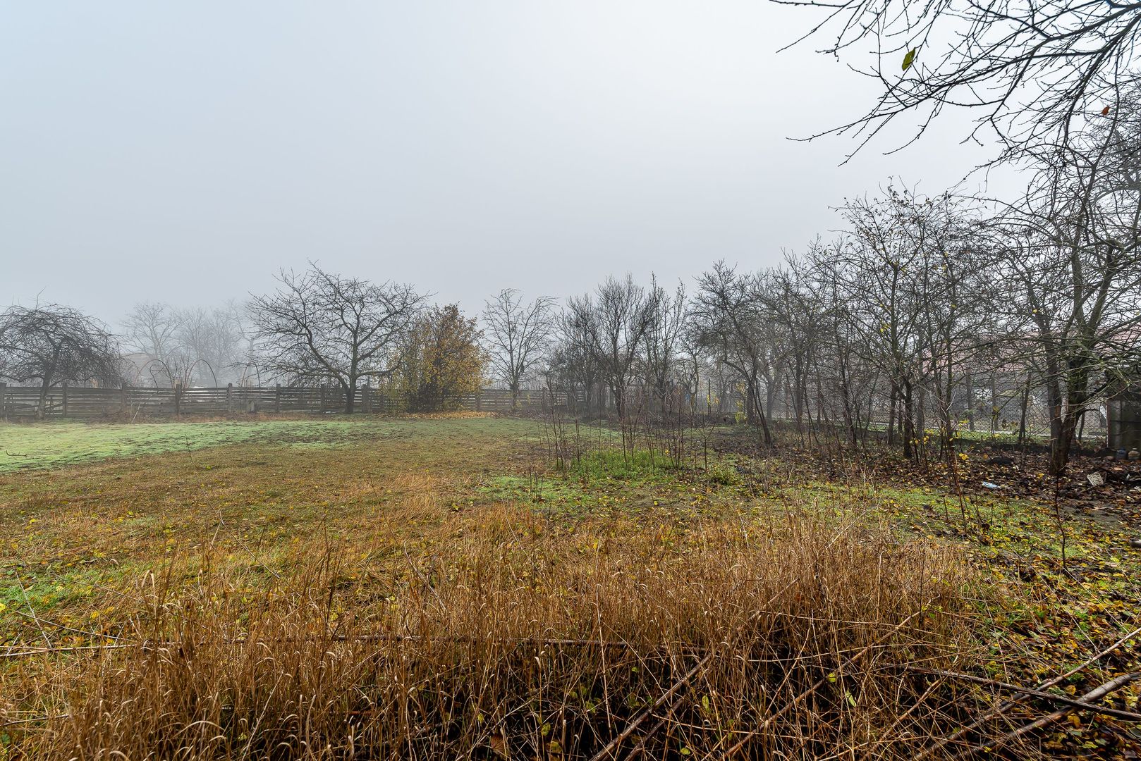 De vânzare Casă cu Grădină Generoasă in Dorobanți - Poză 3