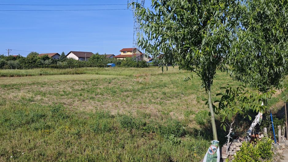 5000 mp teren parcelabil la strada asfaltata, APROAPE DE KAUFLAND. - Poză 5