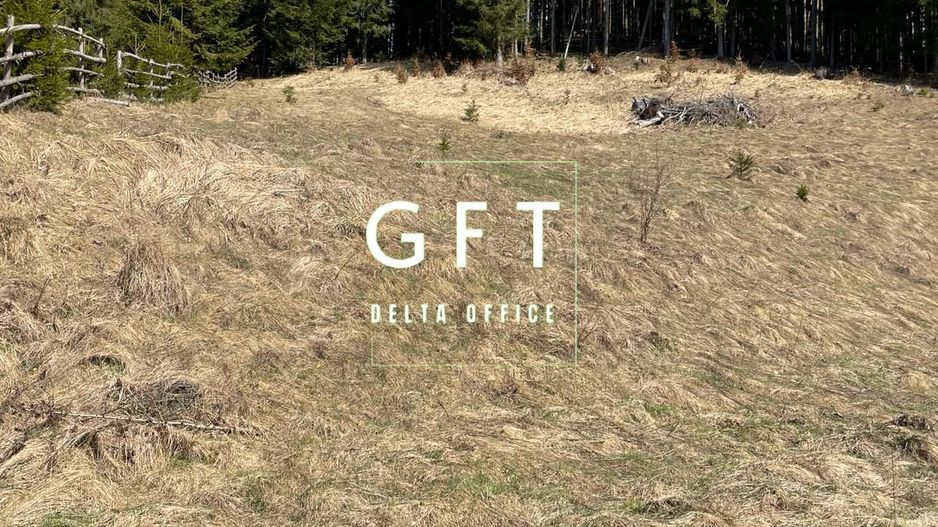 Teren Extravilan, 11731mp,Colibita - Poză 2