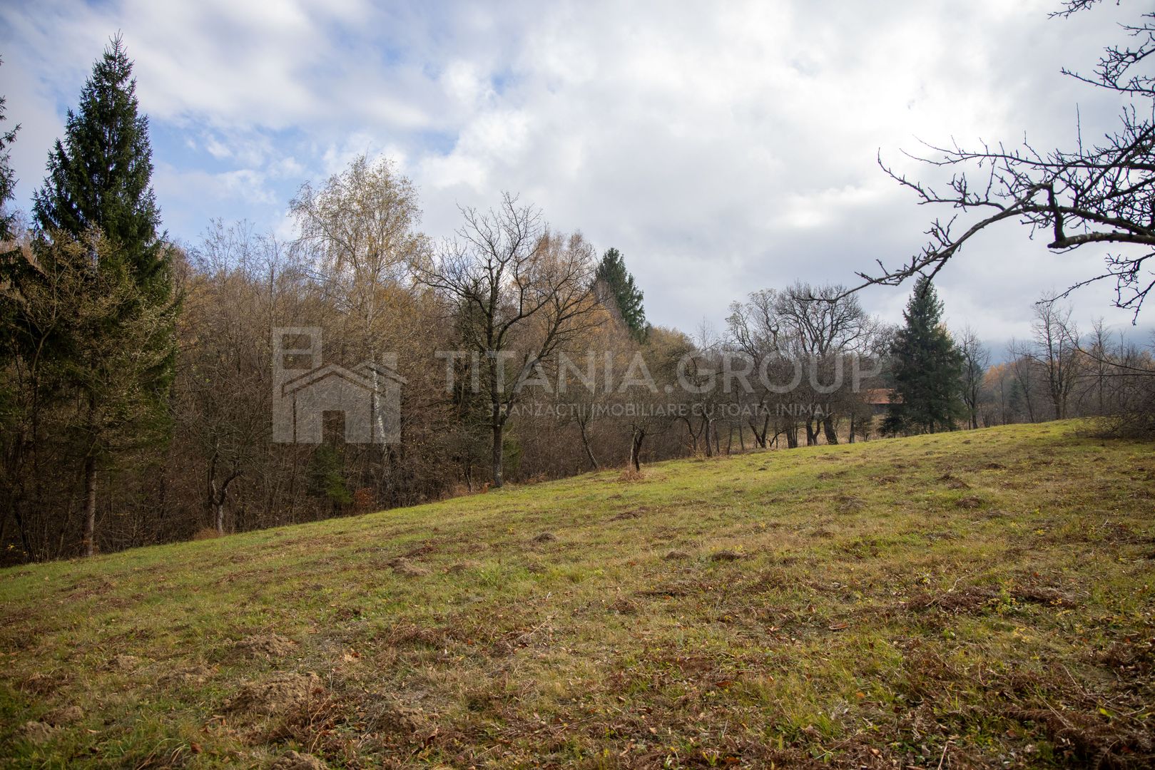 Teren intravilan, cu PUZ, Bran Tohanita,  SE ACCEPTĂ ȘI SCHIMB - Poză 18