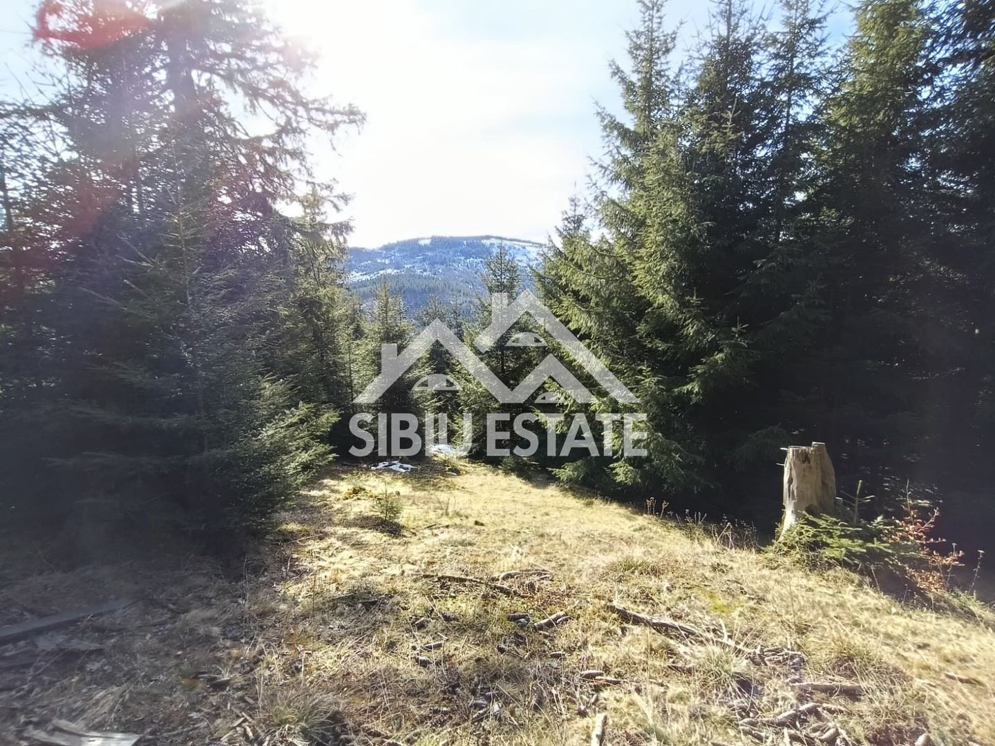 Teren de vânzare în zona montană a județului Alba - Poză 3