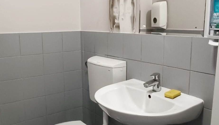 Spatiu comercial -85mp-Harmanului - Poză 8