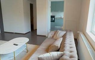 Apartament cu 3 camere în Dumbrăvița | 116 mp utili + 125 mp Curte - Poză 4