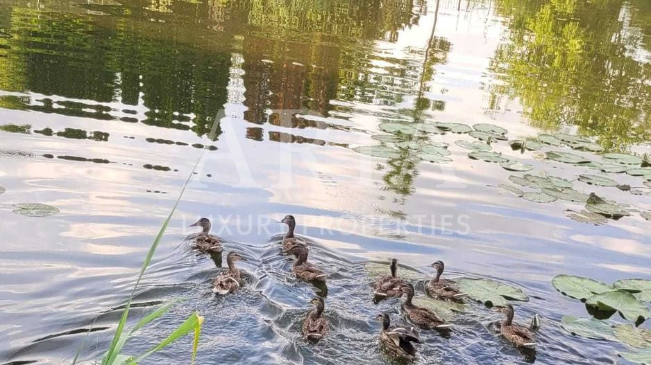 VILA PONTON | LAC Snagov - Poză 7