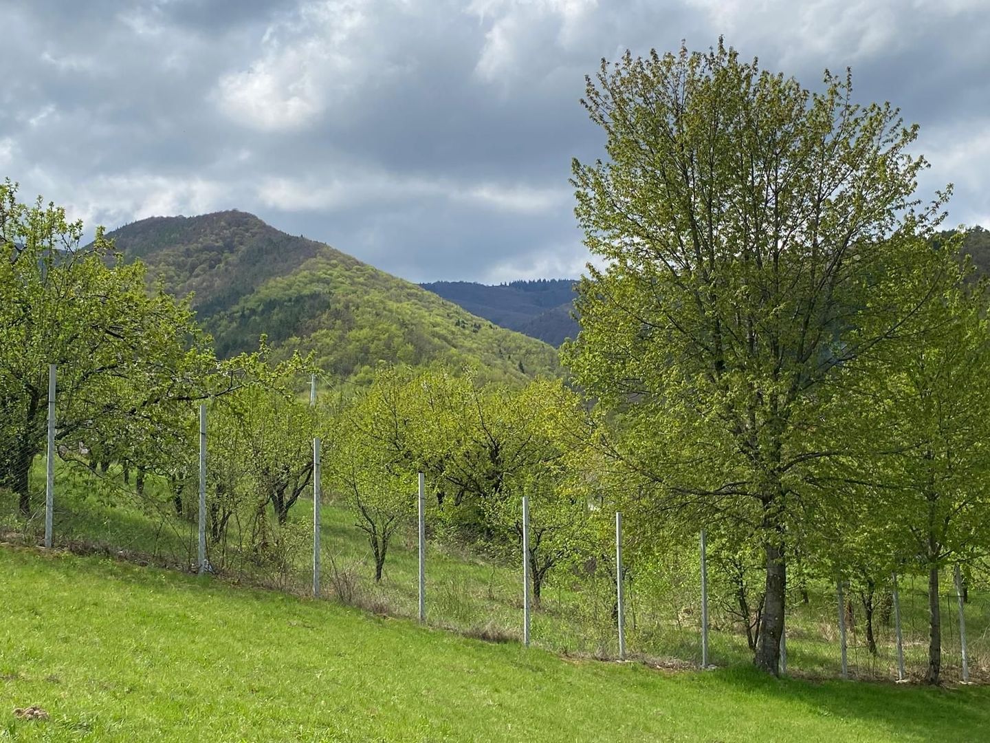 Parcele de teren intravilan cu un view superb-Tocile-Sibiu - Poză 6