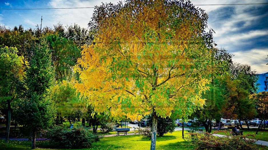 Apartament 2 camere decomandat zona Podul de Fier - Poză 24