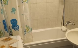 Garsoniera Drumul Taberei - Poză 7