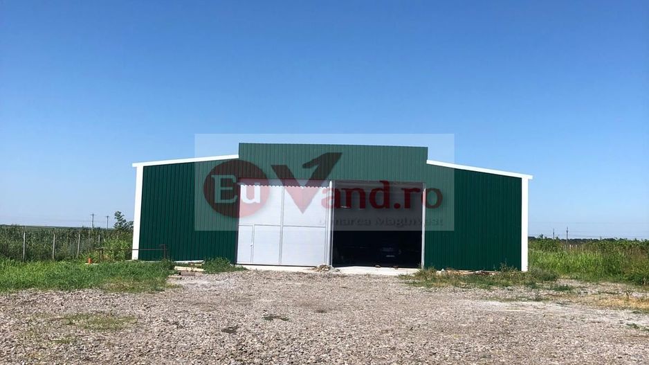 Hala 1.533 mp cu teren 5.000 mp – Vanatori, zona Maylo - Poză 4