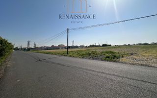 Teren Intravilan Industrial 4982mp Front 24m | Zona Freidorf - Poză 3