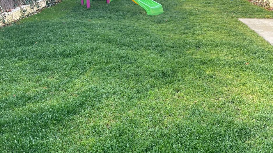 Apartament de închiriat – 3 camere – Complex Triana – Bd. Pipera 146 - Poză 12