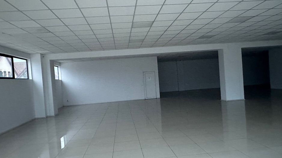 Spatiu comercial zona Calea Lugojului - Poză 5