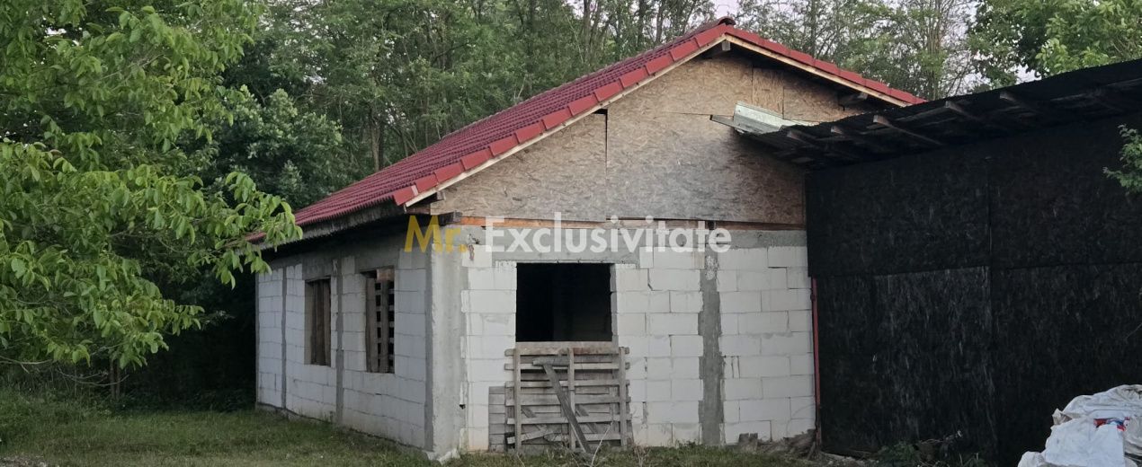 Casă cu 7.769 mp teren și pădure | Budieni | 53.000€ - Poză 8