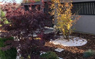 Casa individuala, 4 camere, zona Cetate - Poză 18