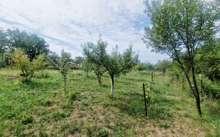 Casa noua cu gradina in Paclisa - Poză 11