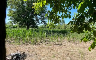 Casa cu 5 camere in localitatea Sacuieni - Poză 11