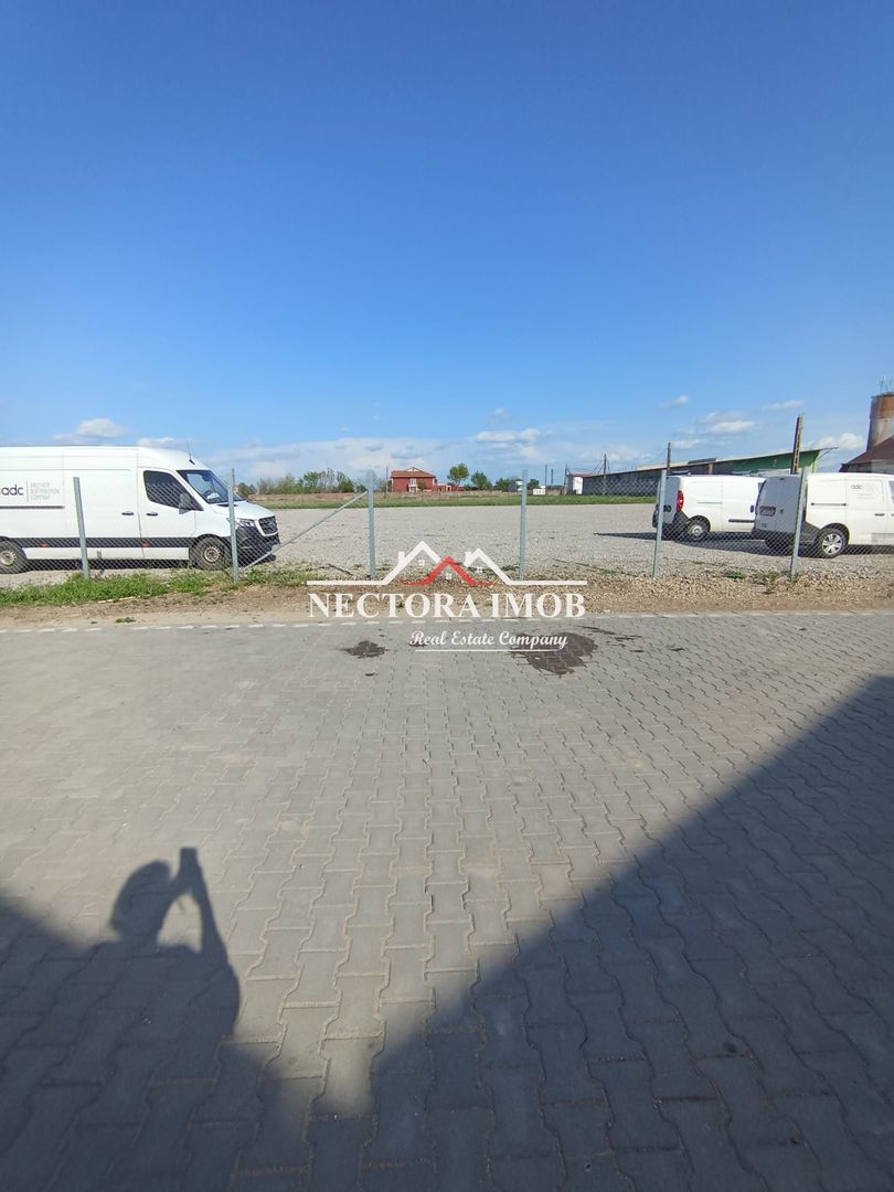 NECTORA IMOB-4 hale industriale noi, Zona Livada de Bihor, Curte mare - Poză 7