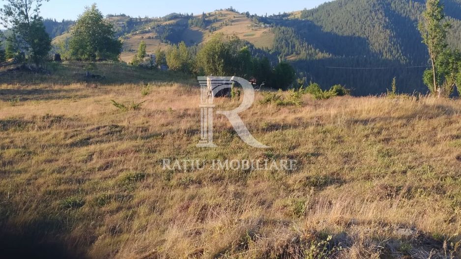 Teren Intravilan | 3.000 mp | Gârda de Sus | Alba | - Poză 5