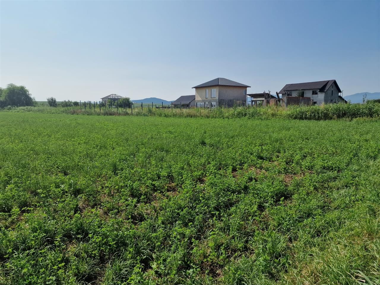 Oportunitate investitie, teren Bod, Brasov. - Poză 5