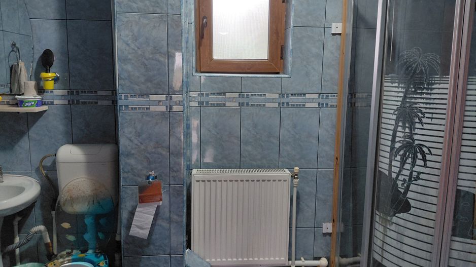 Casă Spațioasă P+1+M, 265 mp Utili, 1000 mp Teren – Toate Utilitățile, Vânători - Poză 24